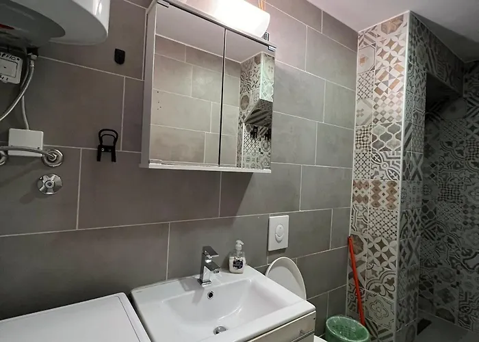 Lovely 아파트 류블랴나